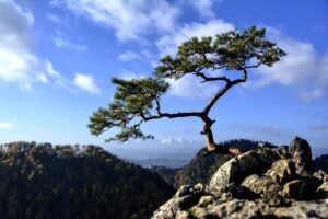Planujesz wakacje w górach? Wybierz Pieniny