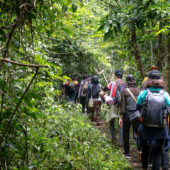 Jakie atrakcje czekają na dzieci w polskich górach?