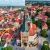 Zamość w centrum czy na obrzeżach: jak wybrać najlepszą lokalizację na pobyt i zwiedzanie?